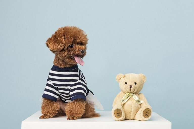 Lee más sobre el artículo Velusce suscipit quis luctus